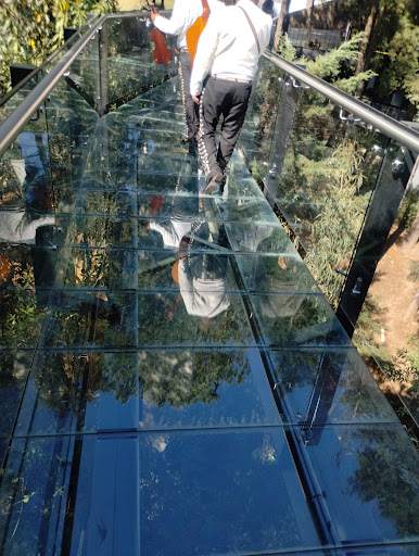 Mariachi Flor de Mexico