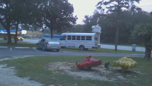 Playcare Daycare & Pre-School