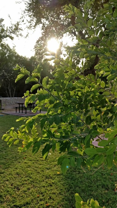 Photos of Picnic Spot Khaleej Al Arabi Street