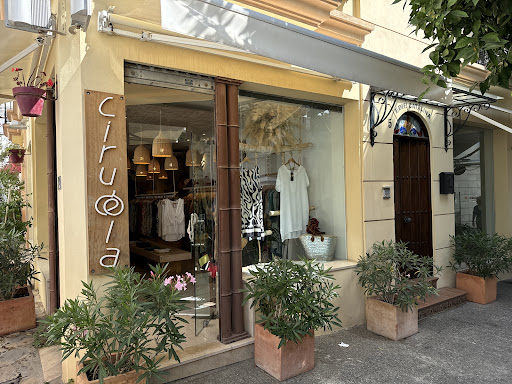 Ciruela - Visual