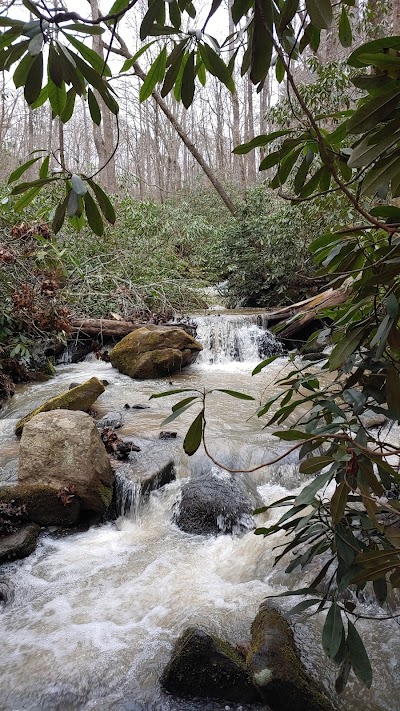 Poinsett Bridge