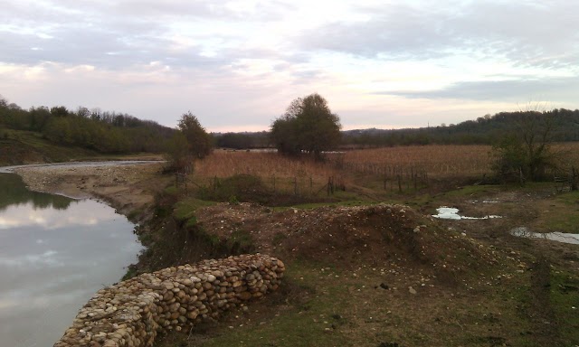 Urta