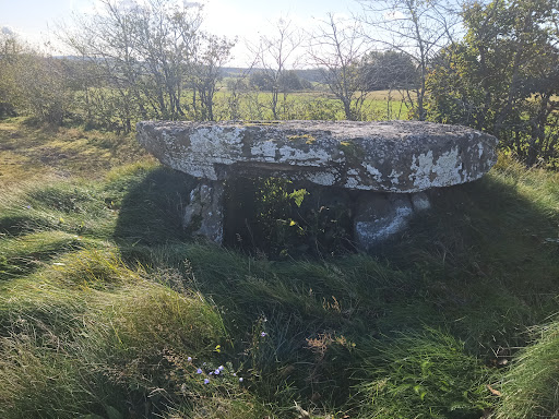 Stenstugan - Visual