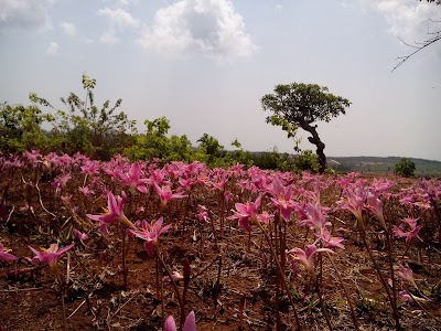 Photos of ​ေမ်ာ့​ေတာ စံျပ​ေက်း႐ြာ (Myaw Taw Village)