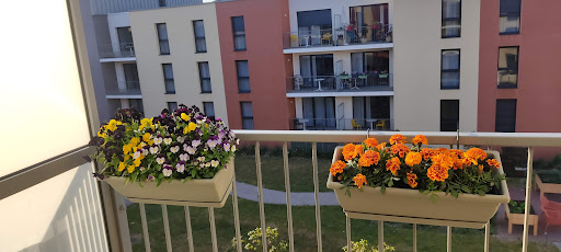 Photo de Résidence Services Seniors DOMITYS - Le fil de Soie à Calais (62100)