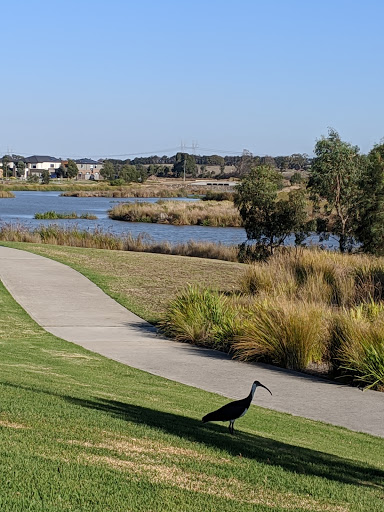 Berwick Waters - Visual