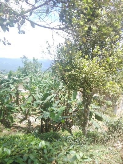 Photos of Kandyan Hideout