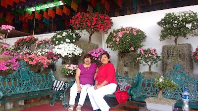 Photos of The Flower Fair