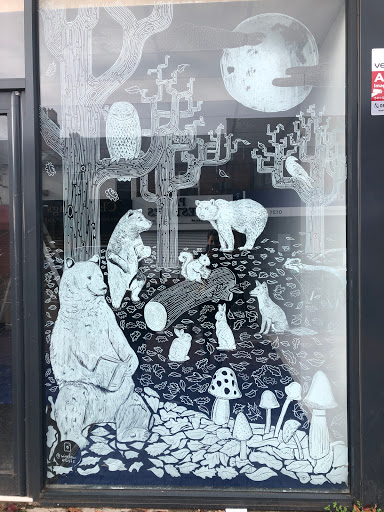 Bear Bookshop - Visual