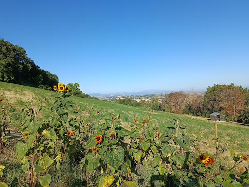 La Collina Dorata. Market Garden - Thumbnail