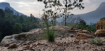 Photos of Karadana Gedara