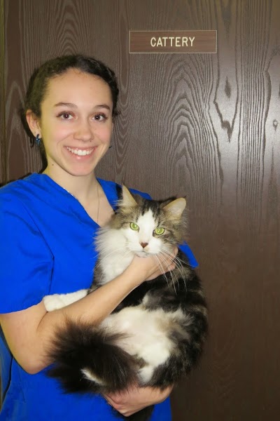 Photos of Companion Animal Hospital Inc.