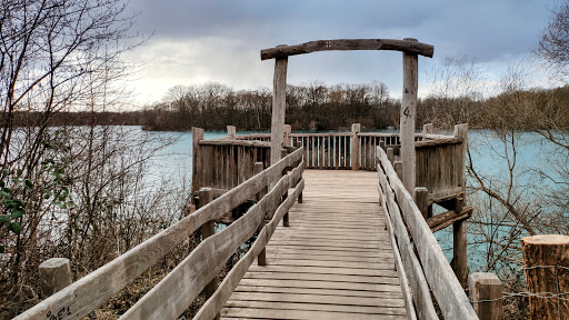 Aussichtspunkt Opfinger Baggersee - Thumbnail