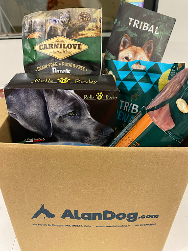 AlanDog - Visual