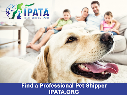 IPATA - Thumbnail