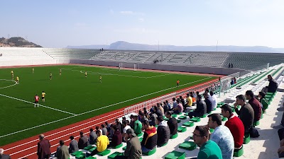 Mustafa Kemal Atatürk Ermenek Şehir Stadyumu