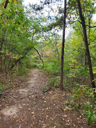 August A Busch Lake #7 Gallery - United States