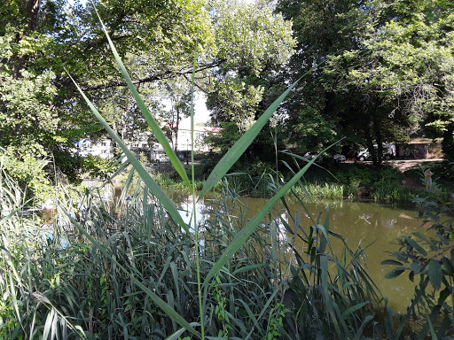 site_photo2