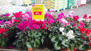 Photo n°15 de Bricomarché Saint-Jean-De-Muzols à Saint-Jean-de-Muzols (Magasin de poêles à bois)