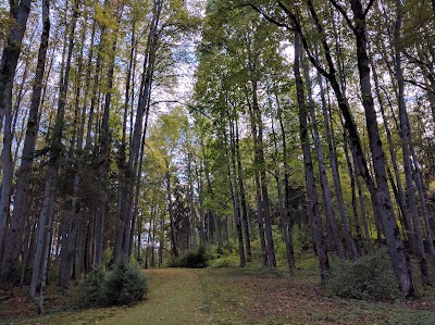 Photos of Skrīveru dendroloģiskais parks