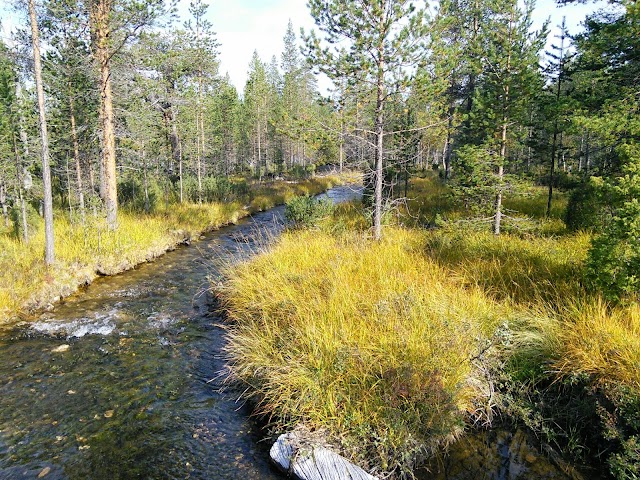 Saariselkä Ski & Sport Resort Ltd