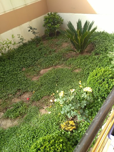Photos of Saadoon Park