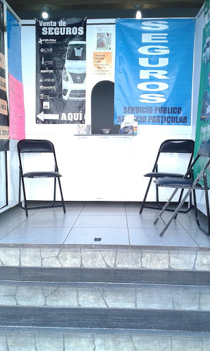 Asesor Gaby Villegas Seguros Auto y Vida - Thumbnail