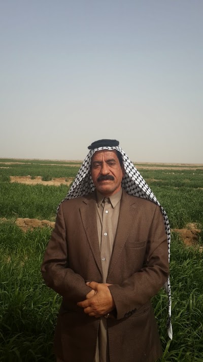 Photos of Barakat Office paper, p