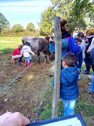 Photo n°4 de Accueil Paysan Pays De La Loire à Mûrs-Erigné (Centre de formation)
