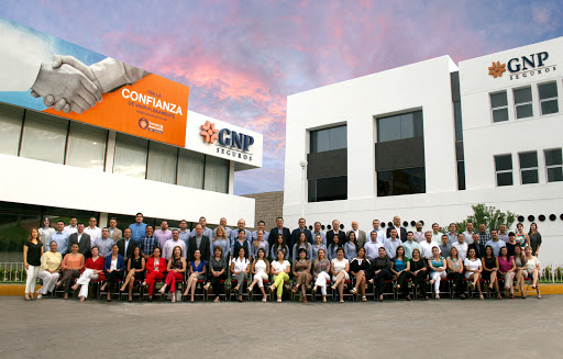 Agente de Seguros GNP Zazueta