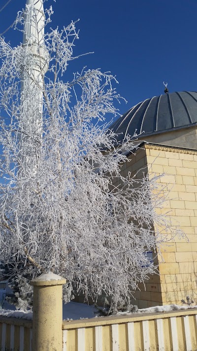 Photos of Yukarı Vehbi Efendi Cami