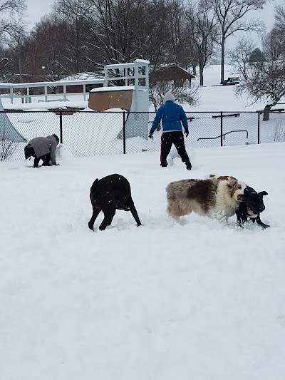 Gypsy Hill Dog Park