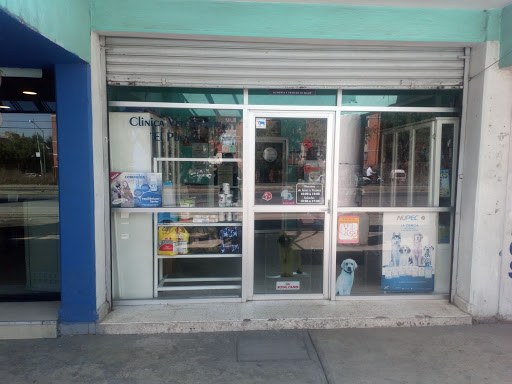 Clínica Veterinaria "El Puente"