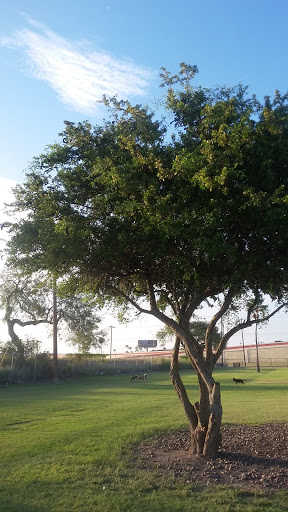 Victor Park - Visual