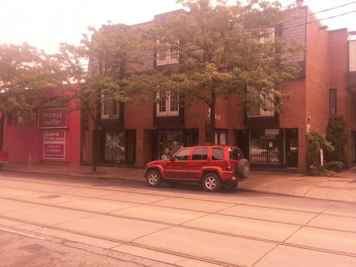 Trinity Mews Veterinary Clinic Gallery - Canada