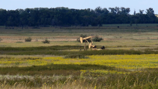 Quivira National Wildlife Refuge - Thumbnail