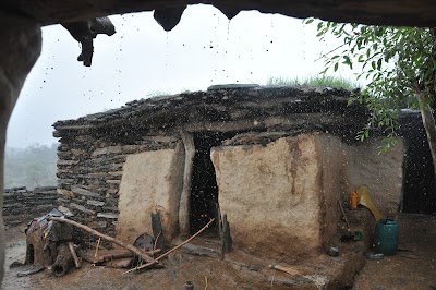 Photos of Enda Gebreyessus