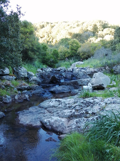 Cascata del Rio Is Alonis Gallery - Italy