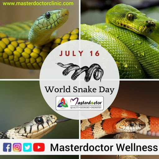 Every Year, 16 July is celebrated as World Snake Day worldwide. The aim of the day is to create a…