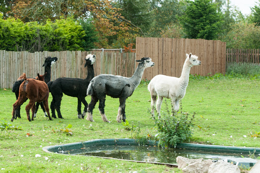 Options Trent Acres School Gallery - United Kingdom