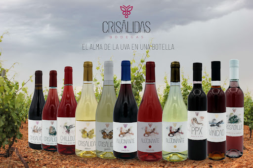 Bodegas Crisálidas - Visual