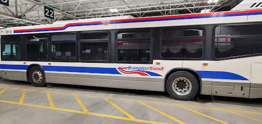 Brampton Transit - Visual
