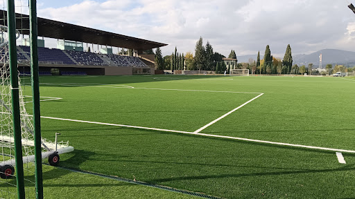 Rocco B. Commisso Viola Park - Thumbnail