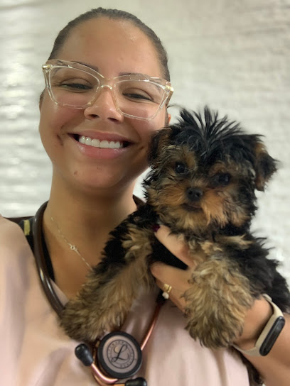 Veterinário à Domicílio - MV. Larissa Timóteo