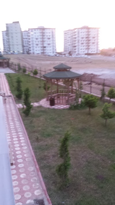 Photos of Siirt bus station