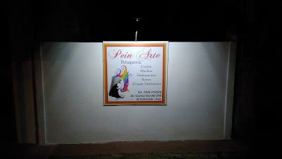 Photos of PEIN-ARTE de Dami&aacute;n Rudolf