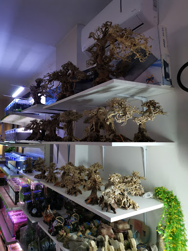 AgriPetGarden - Visual