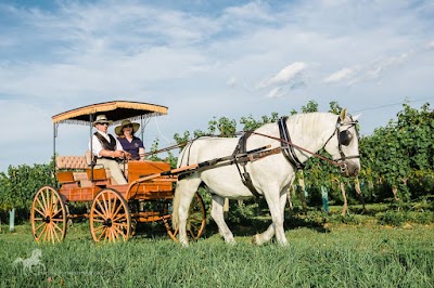 Crow Vineyard & Winery