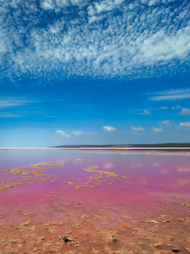 Pink Lake Tours Perth Travel Agency - Escape To WA - Thumbnail