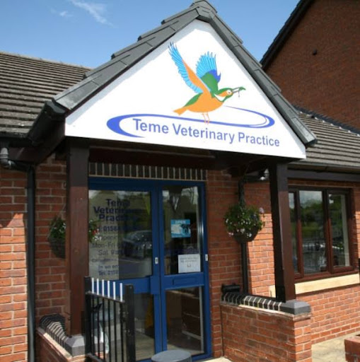 Teme Veterinary Practice - Visual